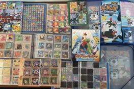Pokémon : la plus grande collection du monde s'est vendue à un prix hallucinant