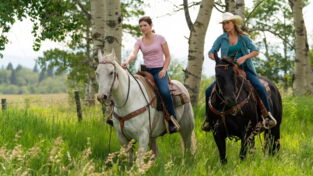 Heartland : quelle date de sortie pour la saison 19 sur Netflix ?