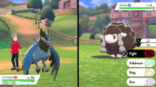 Pokémon Épée et Bouclier : il passe 67 heures avant d'obtenir un Shiny pour commencer sa partie