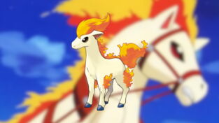 Quels sont les Pokémon inspirés du cheval ?