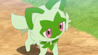 Quels sont les Pokémon inspirés du chat ?