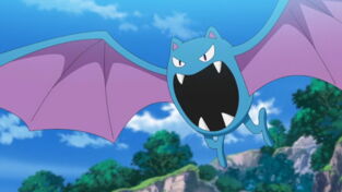 Voici les 10 Pokémon chauve-souris inscrits dans le Pokédex