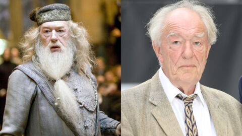 Albus Dumbledore (Michael Gambon)