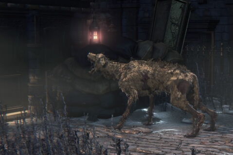 6. Chien - Bloodborne (et tous les autres jeux FromSoftware)