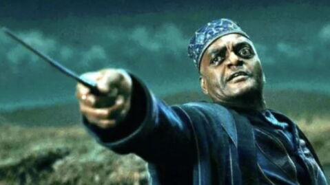 18. Kingsley Shacklebolt