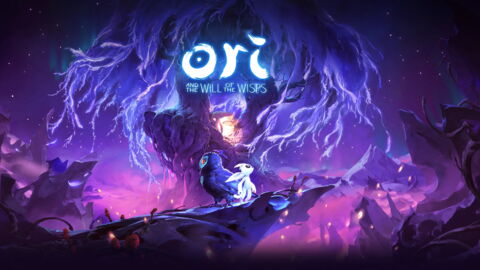 9. Ori and the Will of the Wisps