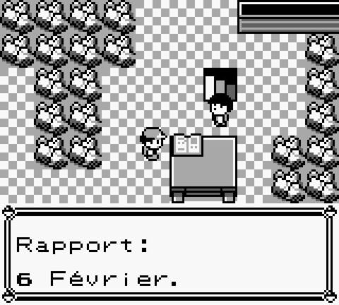 2. Pokémon Bleu/Rouge/Jaune (1ère génération)