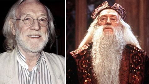 Richard Harris - Albus Dumbledore (Harry Potter 1 et 2)