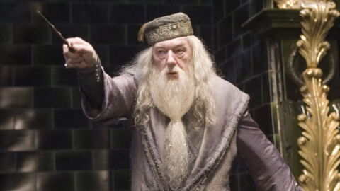 1. Albus Dumbledore