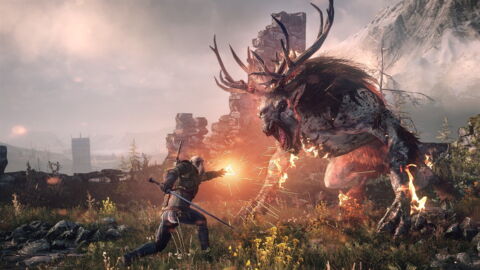 4. The Witcher 3 : Wild Hunt
