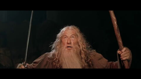 Le Seigneur des Anneaux - "Vous ne passerez pas"