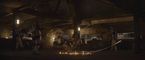 9ème place - Les Oiseaux siffleurs