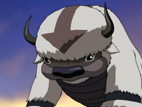 8. Appa