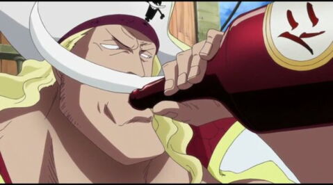 15 : Le personnage qui a inspiré Barbe Blanche