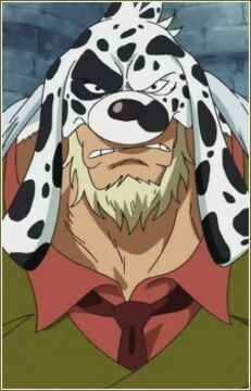 16. Dalmatien