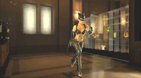 3. Catwoman - Sorti en 2004 sur PS2, Xbox, PC, GameCube et GameBoy Advance