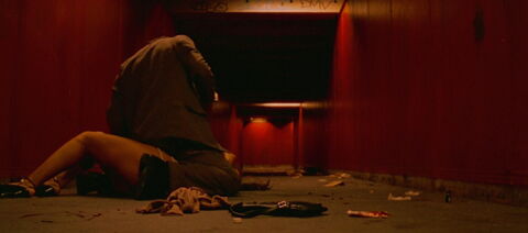 Le viol, Irréversible (2002)