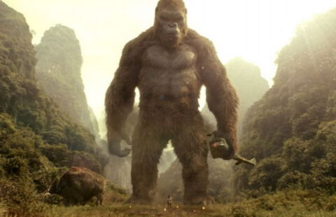 Choisir son nom n'a pas été chose facile