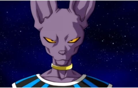 1. Beerus