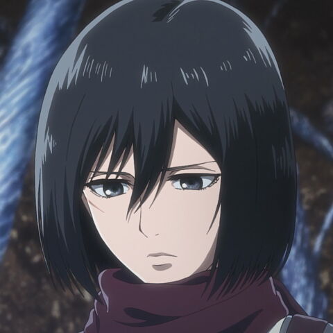 3 - Mikasa Ackerman