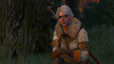 2. Ciri - The Witcher