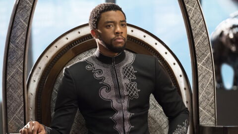 17. Black Panther (2018)