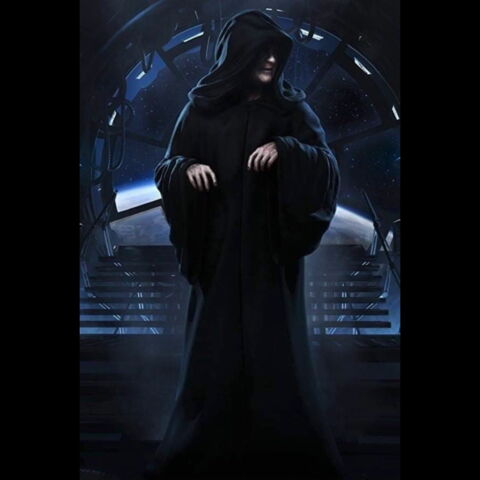 Numéro 2 : L'Empereur Palpatine / Dark Sidious (18%)