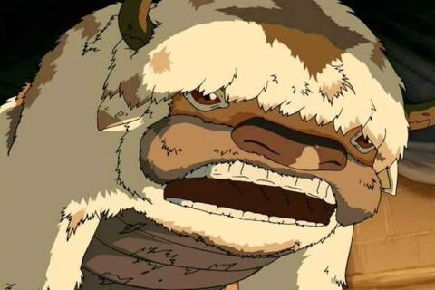 Appa le bison volant