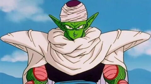 1. Piccolo