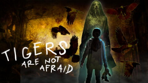 15. Tigers are not afraid