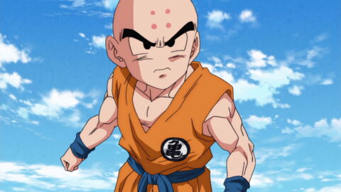 9. Krillin