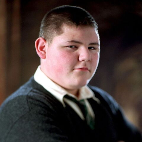 Numéro 8 : Vincent Crabbe (interprété par Jamie Waylett)