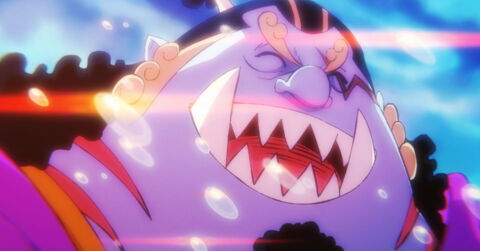 18. Jinbe le paladin des mers - 1.100.000.000 milliard de berrys