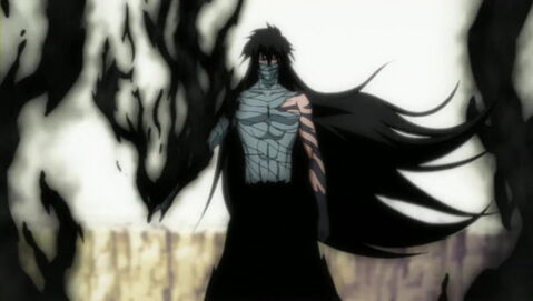 2. Le mugetsu d'Ichigo Kurosaki