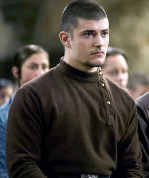 Numéro 5 : Viktor Krum (interprété par Stanislav Ianevski)