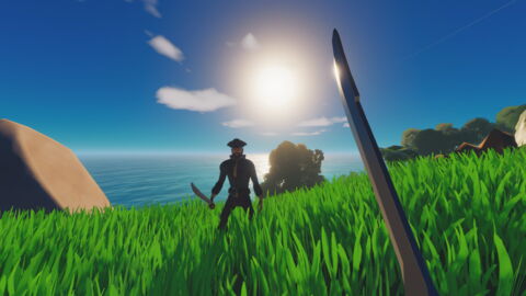 3. Salt 2 : Shores of Gold