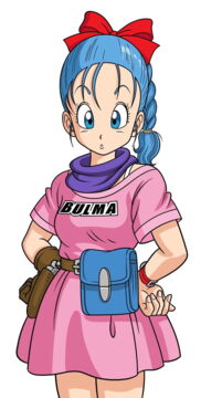N°2 - Bulma (516 voix)