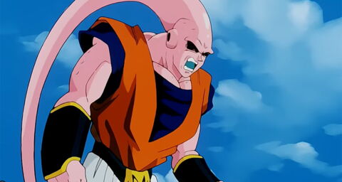 7. Dragon Ball Z - Arc Majin Buu