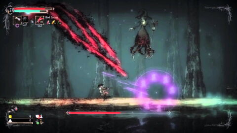 10. La Sorcière du lac / Salt and Sanctuary