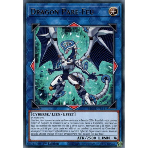 8. Le Dragon Pare-Feu