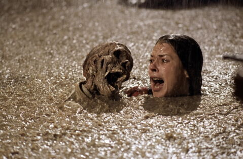 La piscine, Poltergeist (1982)