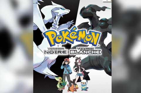 7- Pokémon Noir et Blanc (2010)