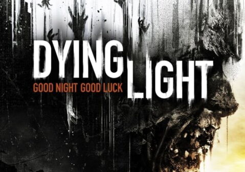 7ème place - Dying Light