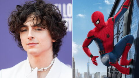 Timothée Chalamet - Spider-Man