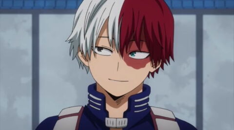 7. Shoto Todoroki