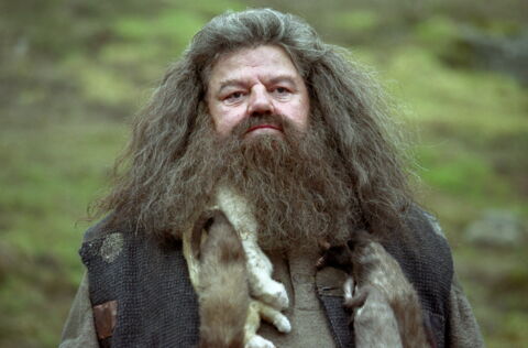24. Une doublure pour faire grandir Hagrid