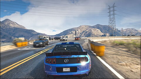 NaturalVision Evolved