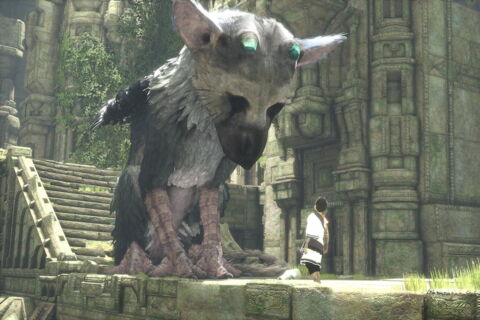 Trico - The Last Guardian