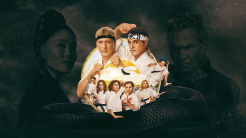 20. Cobra Kai (8,4/10)