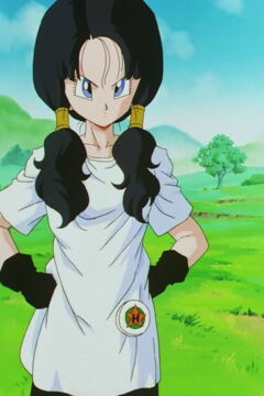 N°3 - Videl (274 voix)